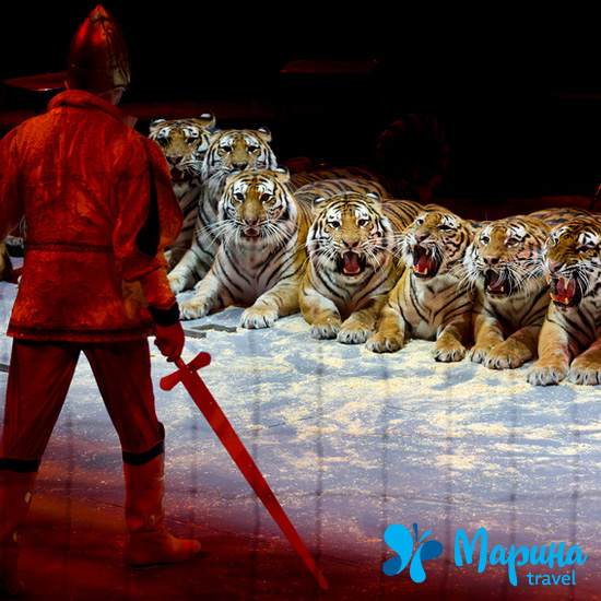 Экскурсия в закулисье Большого Московского цирка