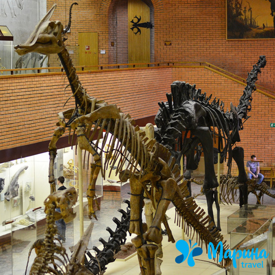 Экскурсия для школьников в Палеонтологический музей